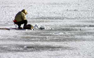 Solitude on the Ice
