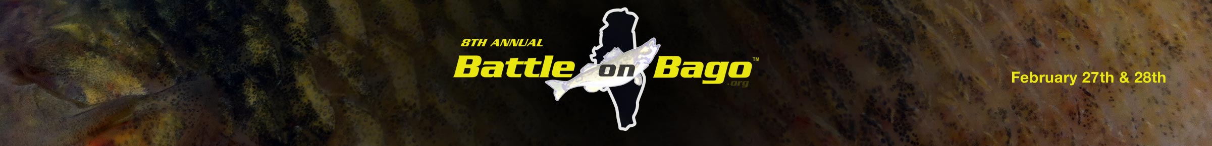 Battle On Bago